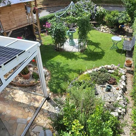 Ferienwohnung Fischbach FDH Dış mekan fotoğraf