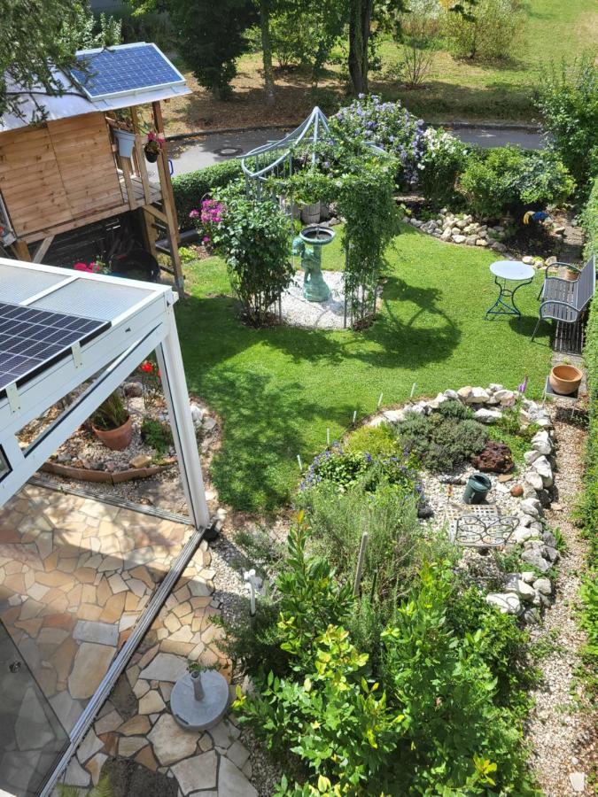 Ferienwohnung Fischbach FDH Dış mekan fotoğraf